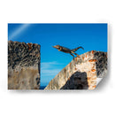 El salto de la iguana | Cuadro decorativo de Canvas Lab