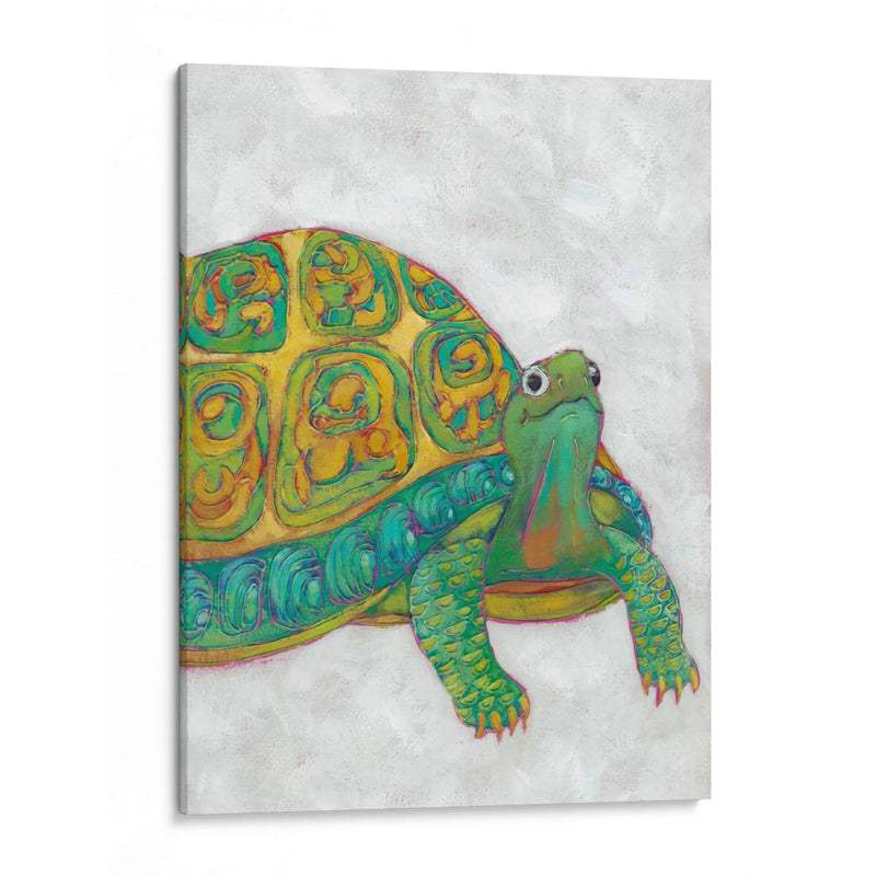 Amigos De Tortuga I - Chariklia Zarris | Cuadro decorativo de Canvas Lab