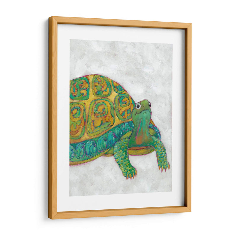 Amigos De Tortuga I - Chariklia Zarris | Cuadro decorativo de Canvas Lab