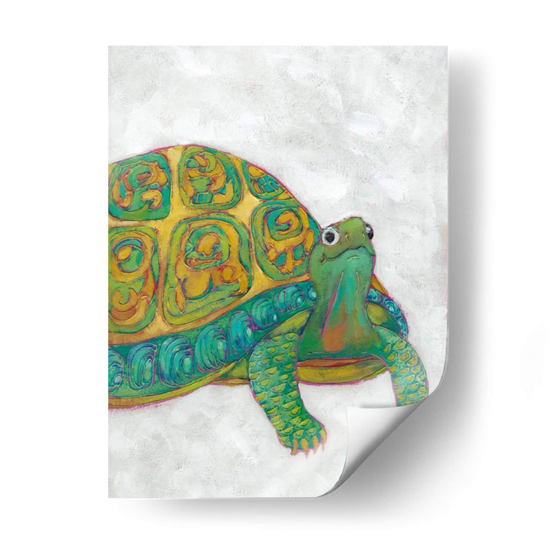 Amigos De Tortuga I - Chariklia Zarris | Cuadro decorativo de Canvas Lab