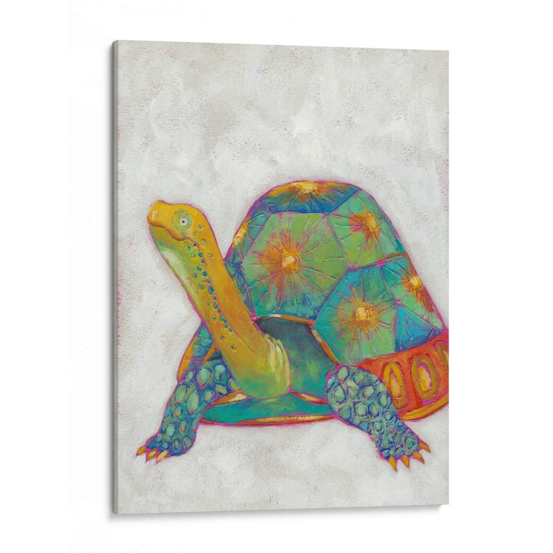 Tortuga Amigos Ii - Chariklia Zarris | Cuadro decorativo de Canvas Lab