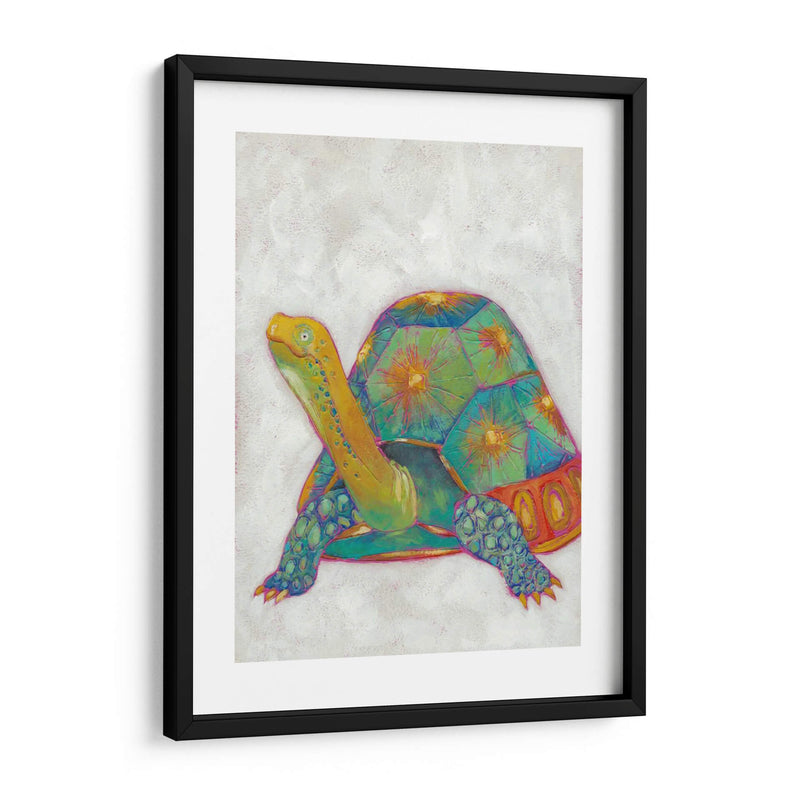 Tortuga Amigos Ii - Chariklia Zarris | Cuadro decorativo de Canvas Lab