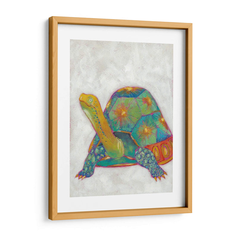 Tortuga Amigos Ii - Chariklia Zarris | Cuadro decorativo de Canvas Lab