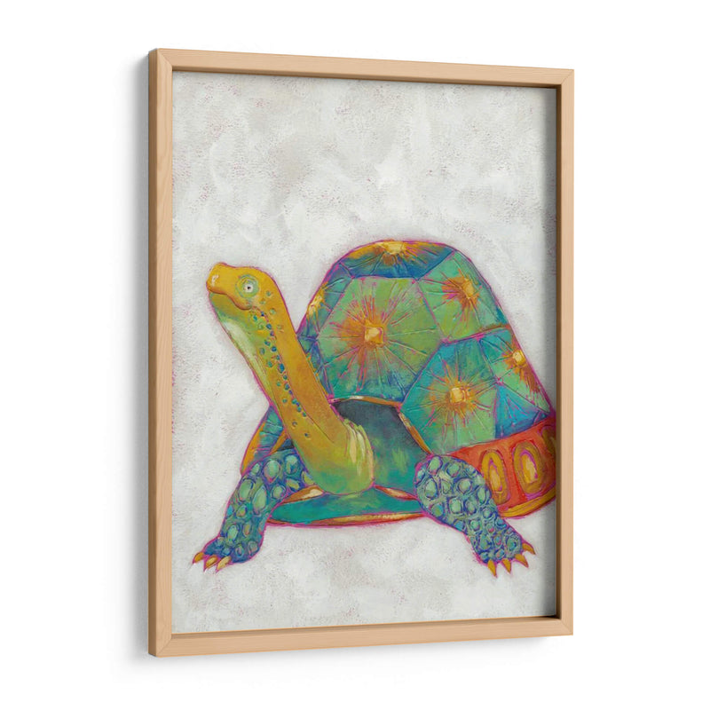 Tortuga Amigos Ii - Chariklia Zarris | Cuadro decorativo de Canvas Lab