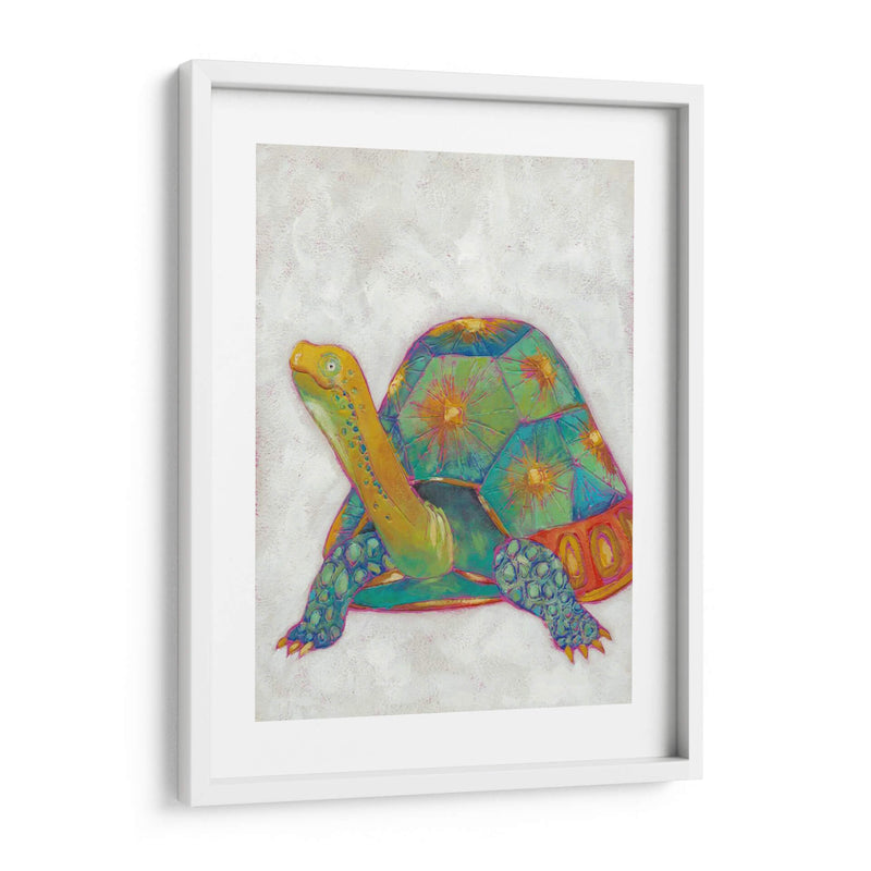 Tortuga Amigos Ii - Chariklia Zarris | Cuadro decorativo de Canvas Lab