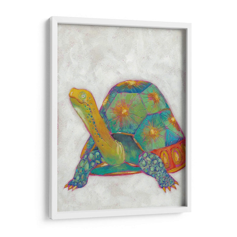 Tortuga Amigos Ii - Chariklia Zarris | Cuadro decorativo de Canvas Lab