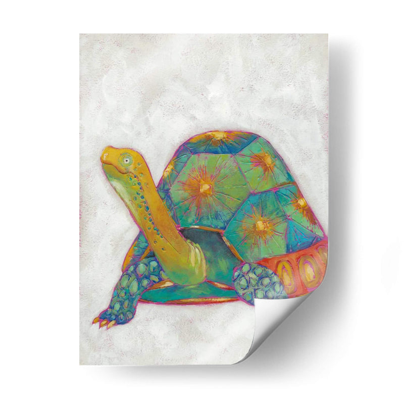 Tortuga Amigos Ii - Chariklia Zarris | Cuadro decorativo de Canvas Lab