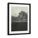 Vista De La Mañana Ii - Chariklia Zarris | Cuadro decorativo de Canvas Lab