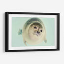 Foquita | Cuadro decorativo de Canvas Lab