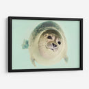 Foquita | Cuadro decorativo de Canvas Lab