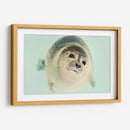 Foquita | Cuadro decorativo de Canvas Lab