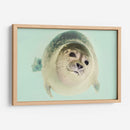 Foquita | Cuadro decorativo de Canvas Lab