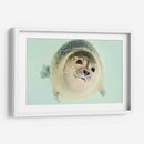 Foquita | Cuadro decorativo de Canvas Lab