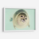 Foquita | Cuadro decorativo de Canvas Lab