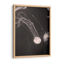 Mundo Submarino 2 - Inc. Dag | Cuadro decorativo de Canvas Lab