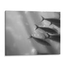 Mundo Submarino 32 - Inc. Dag | Cuadro decorativo de Canvas Lab