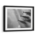 Mundo Submarino 32 - Inc. Dag | Cuadro decorativo de Canvas Lab