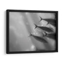 Mundo Submarino 32 - Inc. Dag | Cuadro decorativo de Canvas Lab