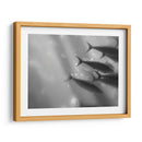 Mundo Submarino 32 - Inc. Dag | Cuadro decorativo de Canvas Lab