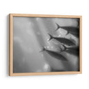 Mundo Submarino 32 - Inc. Dag | Cuadro decorativo de Canvas Lab