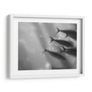 Mundo Submarino 32 - Inc. Dag | Cuadro decorativo de Canvas Lab