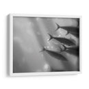 Mundo Submarino 32 - Inc. Dag | Cuadro decorativo de Canvas Lab