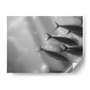 Mundo Submarino 32 - Inc. Dag | Cuadro decorativo de Canvas Lab