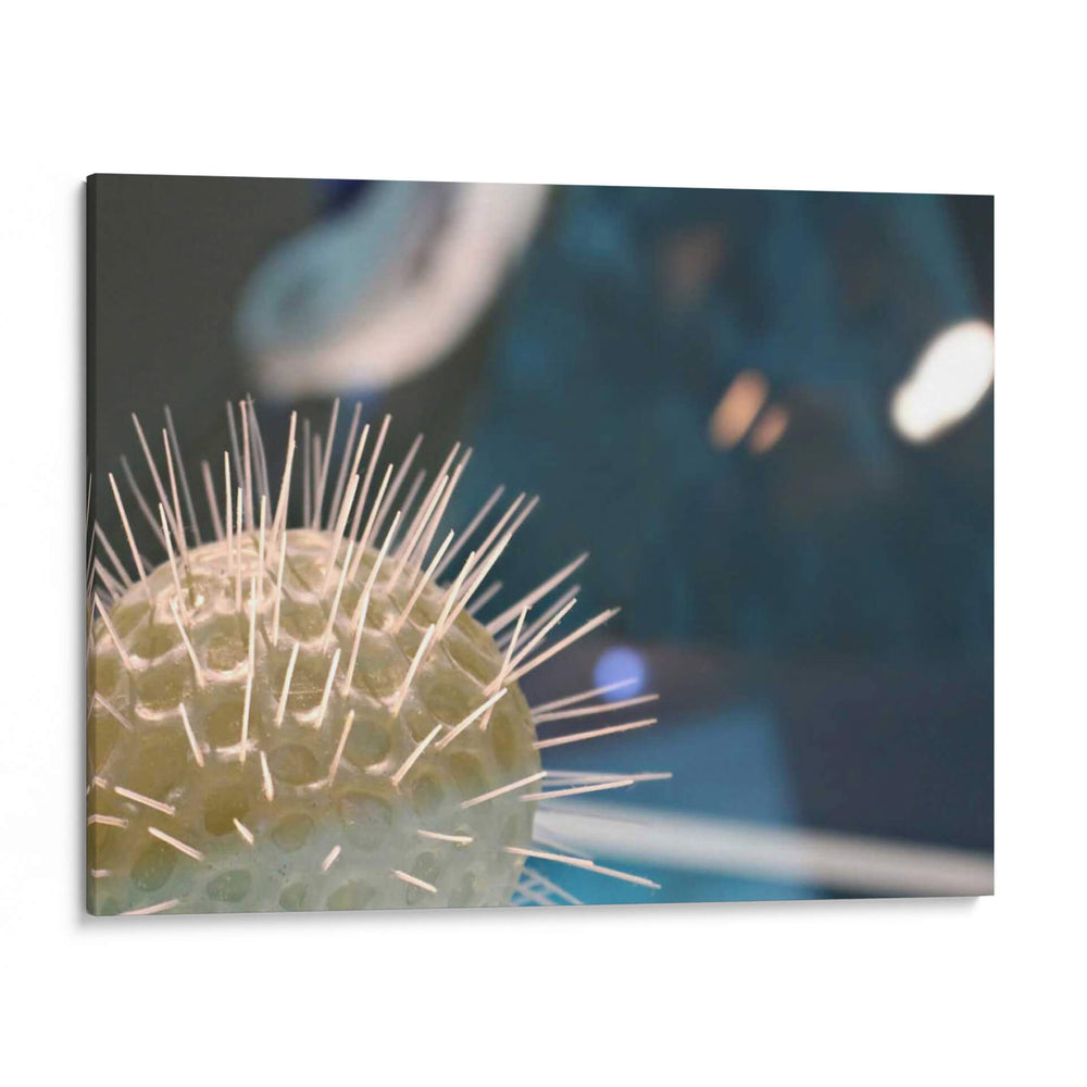 Mundo Submarino 34 - Inc. Dag | Cuadro decorativo de Canvas Lab