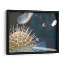 Mundo Submarino 34 - Inc. Dag | Cuadro decorativo de Canvas Lab