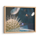 Mundo Submarino 34 - Inc. Dag | Cuadro decorativo de Canvas Lab