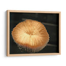 Mundo Submarino 39 - Inc. Dag | Cuadro decorativo de Canvas Lab