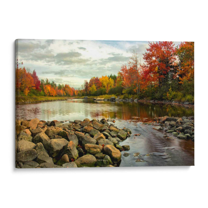 Northeast Creek - Danny Head | Cuadro decorativo de Canvas Lab