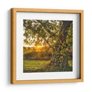 Llamándolo Un Día - Danny Head | Cuadro decorativo de Canvas Lab