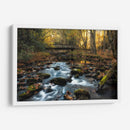 Luz Cálida - Danny Head | Cuadro decorativo de Canvas Lab