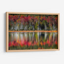 Reflexiones De Otoño - Danny Head | Cuadro decorativo de Canvas Lab