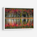 Reflexiones De Otoño - Danny Head | Cuadro decorativo de Canvas Lab