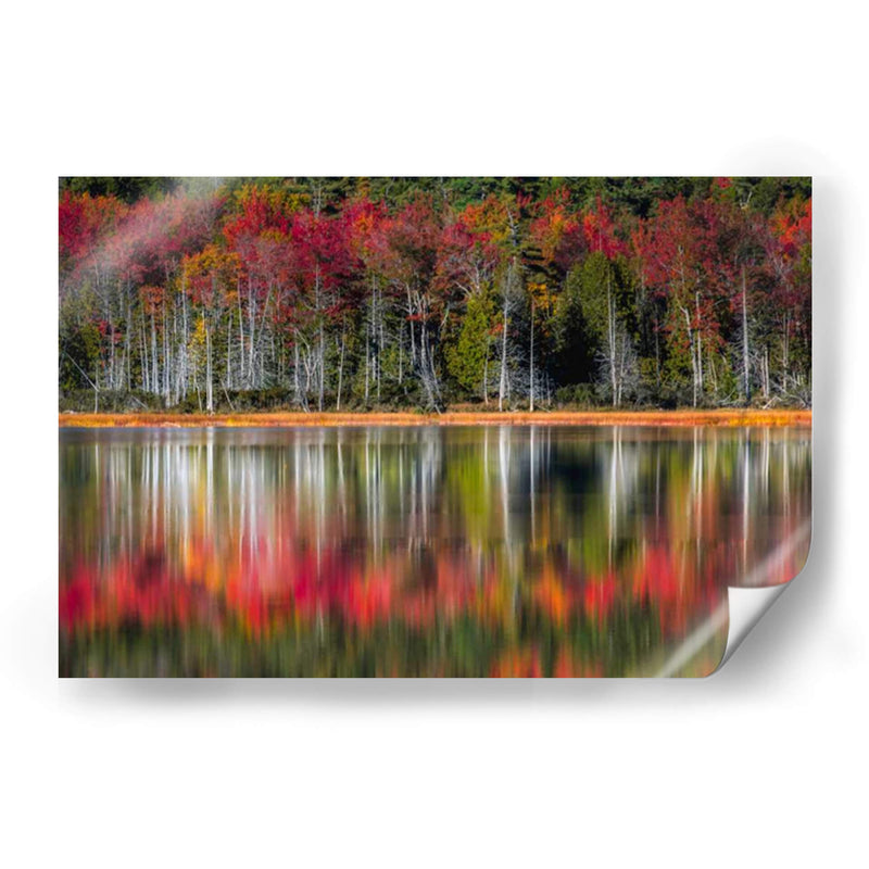 Reflexiones De Otoño - Danny Head | Cuadro decorativo de Canvas Lab