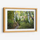 Abedules Y Hierba Alta - Danny Head | Cuadro decorativo de Canvas Lab