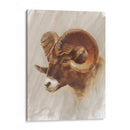 Estudio De Animales Estadounidense Occidental I - Ethan Harper | Cuadro decorativo de Canvas Lab