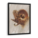 Estudio De Animales Estadounidense Occidental I - Ethan Harper | Cuadro decorativo de Canvas Lab