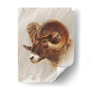 Estudio De Animales Estadounidense Occidental I - Ethan Harper | Cuadro decorativo de Canvas Lab