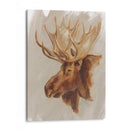 Estudio De Animales Estadounidense Occidental Ii - Ethan Harper | Cuadro decorativo de Canvas Lab