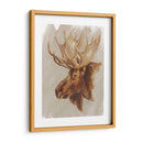 Estudio De Animales Estadounidense Occidental Ii - Ethan Harper | Cuadro decorativo de Canvas Lab