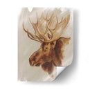 Estudio De Animales Estadounidense Occidental Ii - Ethan Harper | Cuadro decorativo de Canvas Lab