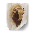 Estudio De Animales Estadounidense Occidental Iii - Ethan Harper | Cuadro decorativo de Canvas Lab