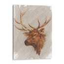 Estudio De Animales Estadounidense Occidental Iv - Ethan Harper | Cuadro decorativo de Canvas Lab