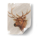 Estudio De Animales Estadounidense Occidental Iv - Ethan Harper | Cuadro decorativo de Canvas Lab