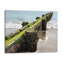 Escena A Lo Largo Del Agua V - Golie Miamee | Cuadro decorativo de Canvas Lab