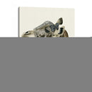 Downton Animals Ii - Grace Popp | Cuadro decorativo de Canvas Lab