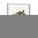 Downton Animals Ii - Grace Popp | Cuadro decorativo de Canvas Lab